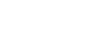 All White EVI Logo